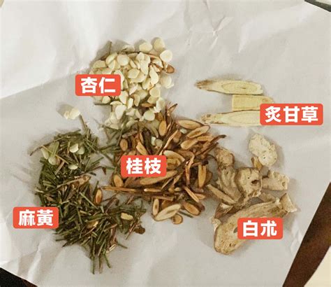 麻黃加朮湯|麻黃加朮湯方：